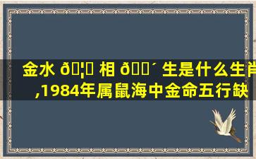 金水 🦈 相 🐴 生是什么生肖,1984年属鼠海中金命五行缺什么